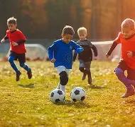 塞内加尔足,球梦之队集,雅克松领衔,韦德体育,韦德体育官网,韦德体育app,韦德体育下载,betvictor官网