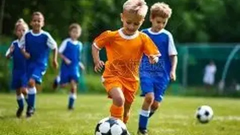 韦德体育 资讯 095944 q84